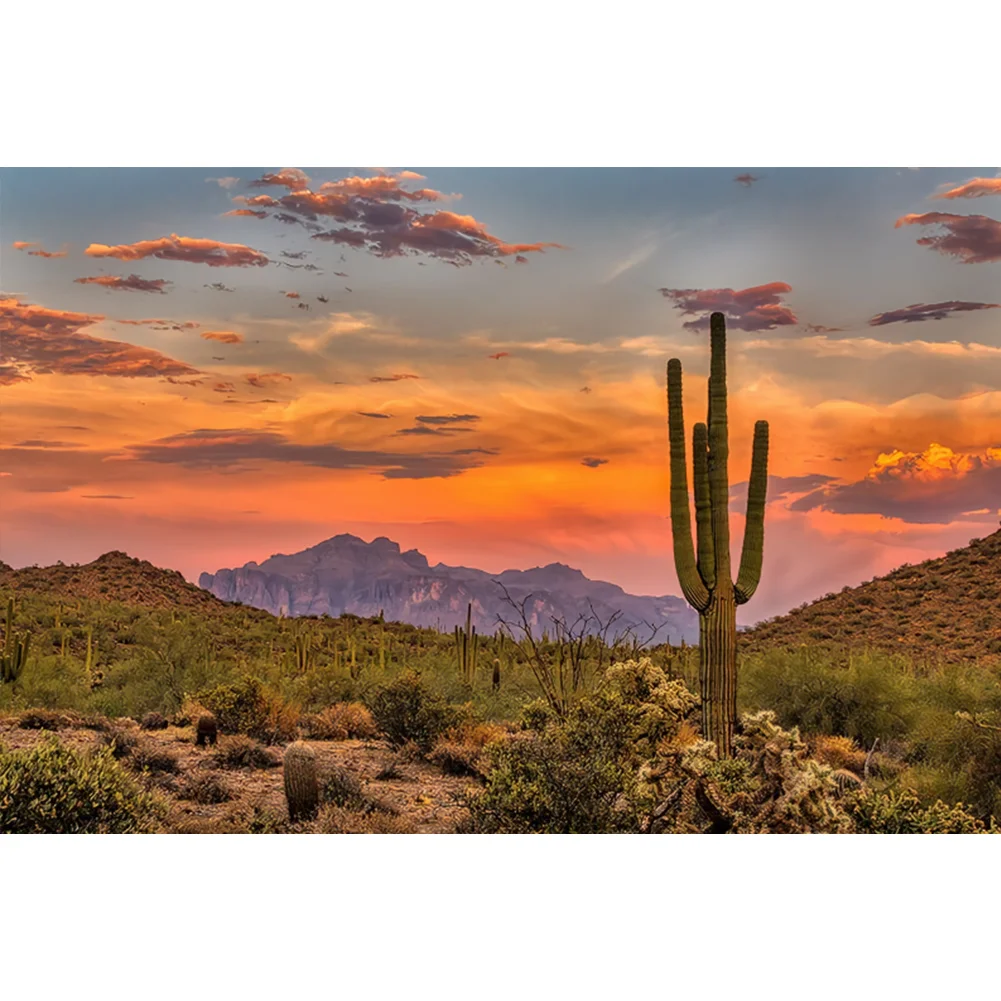 Full Round Diamond Painting - Sunset Over Cactus Sonoran Desert(Canvas|45*30cm)