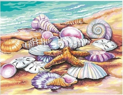 

Seashells on The Beach – Paint By Numbers - 40*50CM, 501 Original