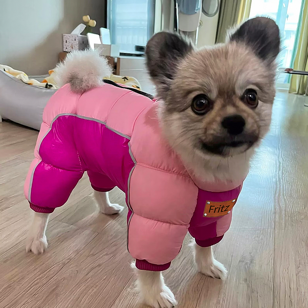 Personalized Leather Patch Name Pet Winter Puffer jacket Custom Pet Clothing Pet Name Winter Jacket