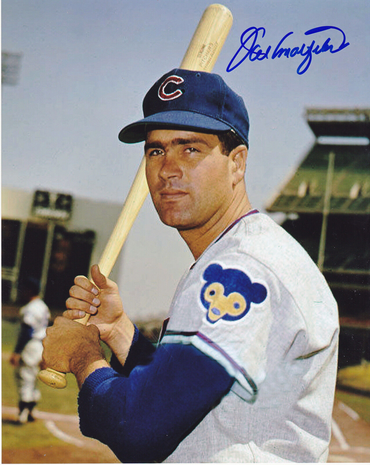 JOEY AMALFITANO CHICAGO CUBS ACTION SIGNED 8x10