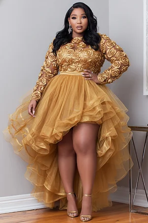xxl party wear dresses Njoeus Floral Lace Maxi Dress for Women Plus Size Party Evening Long Dress  Ankle Length XL-5XL