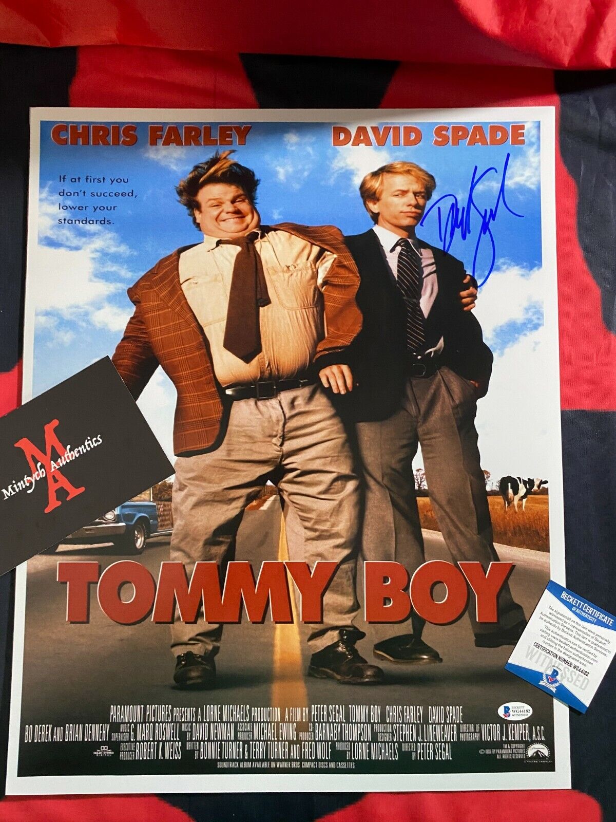 DAVID SPADE AUTOGRAPHED SIGNED 16x20 Photo Poster painting! TOMMY BOY! RICHARD! BECKETT COA!