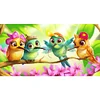 >SALE<5D DIY Full Round Drill Diamond Painting Cartoon Birds for Decor (LD372)