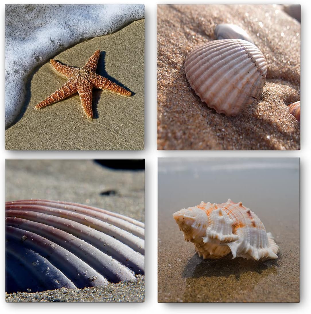 Renditions Gallery Beach Wall Art Starfish Seashell Pictures Prints Natural Wall Decoration 12x12 inches 4 Piece Set for Bedroom Bathroom Living Room, Beach Vibe 07