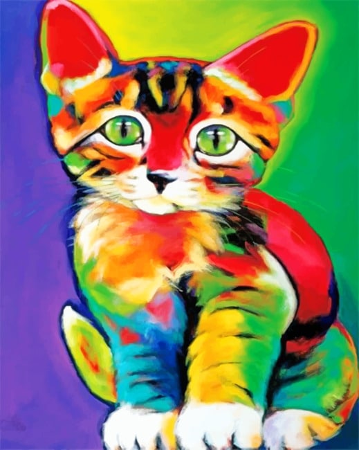 

Colorful Cat – Paint By Numbers - 40*50CM, 501 Original