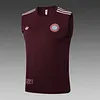 2025/2026 Bayern Munich Pre-Match Training Deep Dates Vest+Shorts Football1:1 Thai Quality