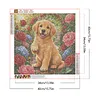 Diamond Painting -5D Full Round Drill Golden Retriever Puppy(40x40cm)