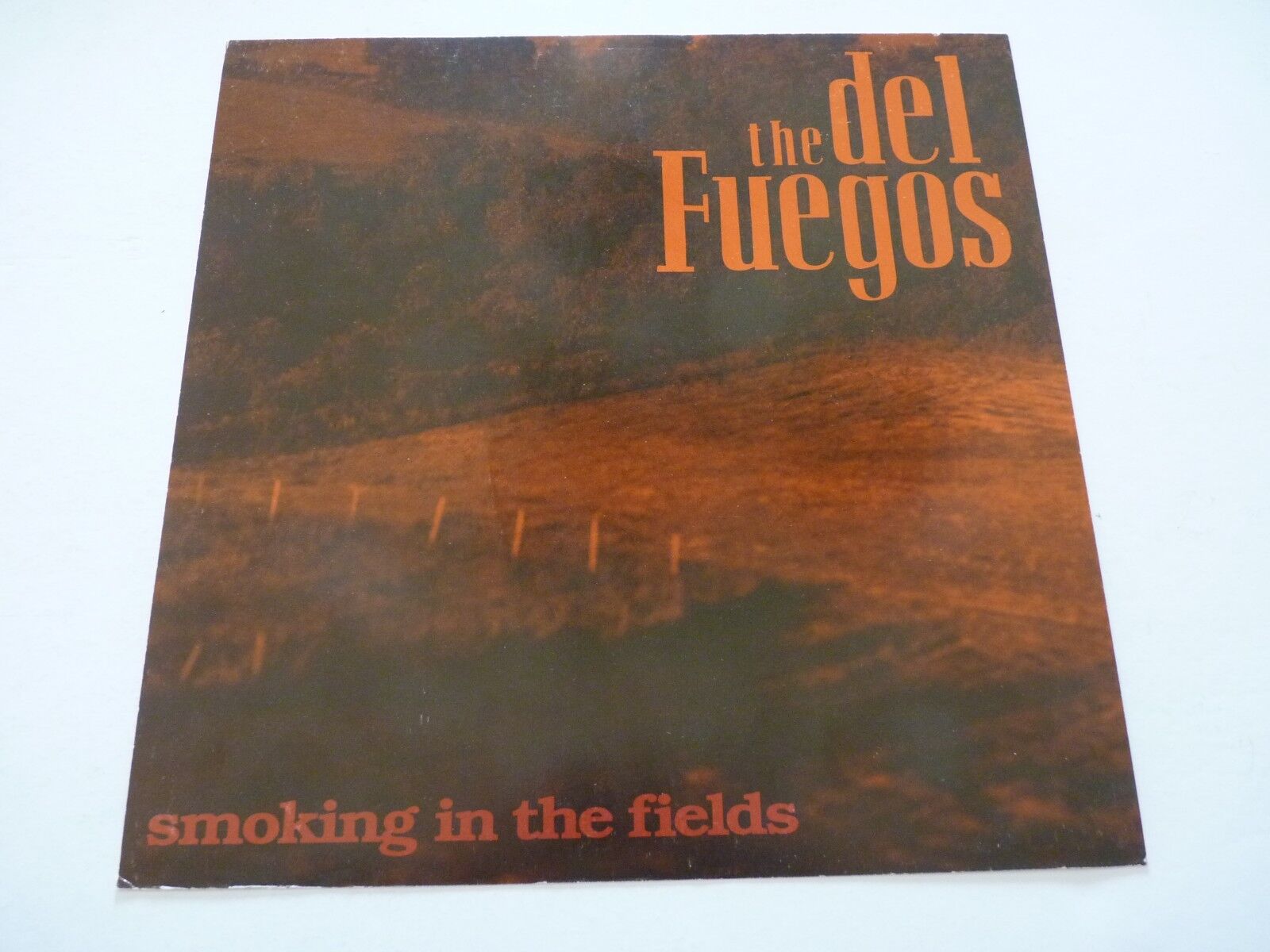 The del Fuegos Smoking in Fields 1989 Promo LP Record Photo Poster painting Flat 12x12 Poster