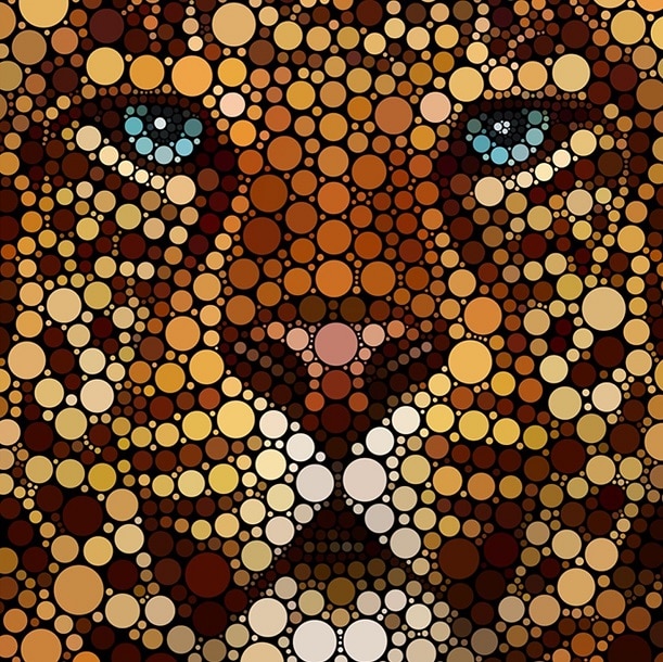 

Tiger Made Out Of Circles – Paint By Numbers - 40*50CM, 501 Original