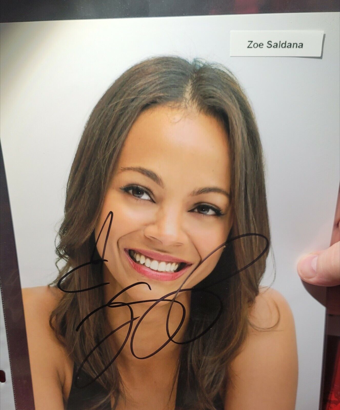 Zoe Saldana hand signed autographed 8x10 Actress