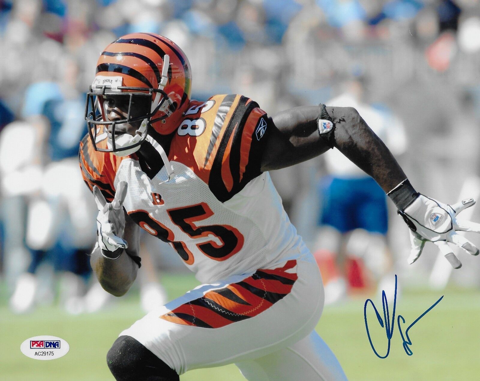 Chad Ochocinco Johnson Signed Bengals Football 8x10 Photo Poster painting PSA/DNA COA Picture 85