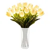 Twinkling Tree Tulips
