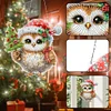 2D/Flat Christmas DIY Diamond Art Acrylic Pendant Wall Door Decoration (Owl)