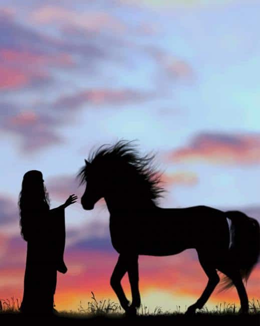 

Girl With Horse Silhouette – Paint By Numbers - 40*50CM, 501 Original