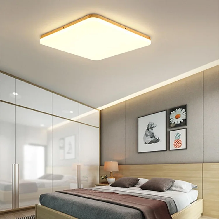 Circular Dimmable LED Nordic Ceiling Lights Flush Mount Lighting - Appledas