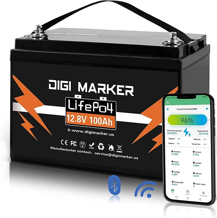 12.8V 100Ah LiFePO4 Battery 1280Wh With Bluetooth - Digi Marker