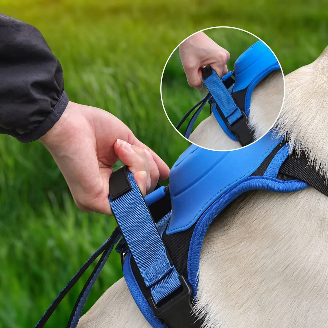 SmartPaw&trade;️ Harness + Leash - 2 in 1