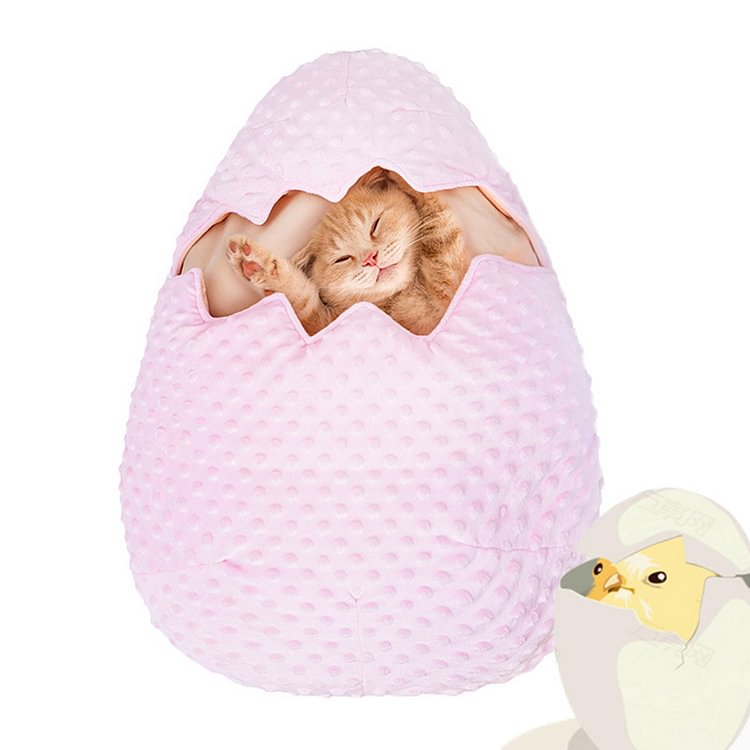 Broken Egg Cat Pet Bed 1