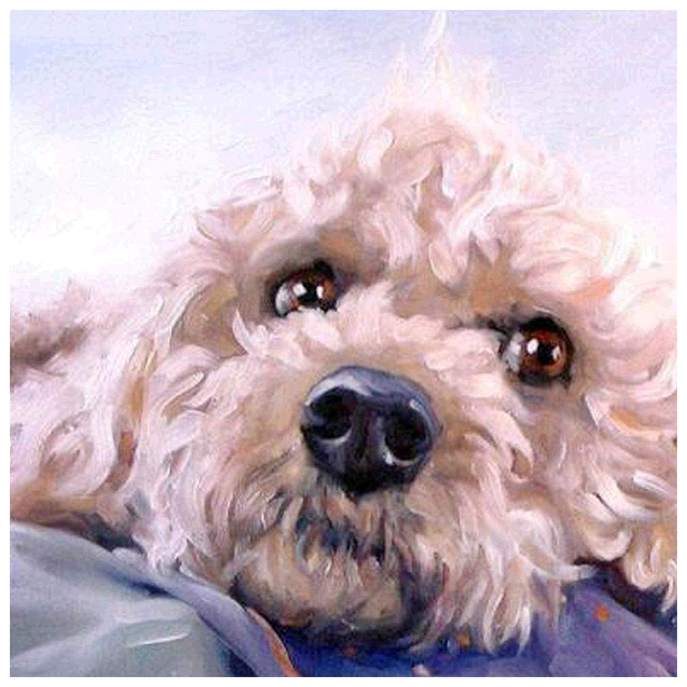

Cute Dog - Square Drill Diamond Painting - 30*30CM, 501 Original