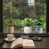 Greenery Plants Both Sides Window Static Sticker Home Cafe Store Decor