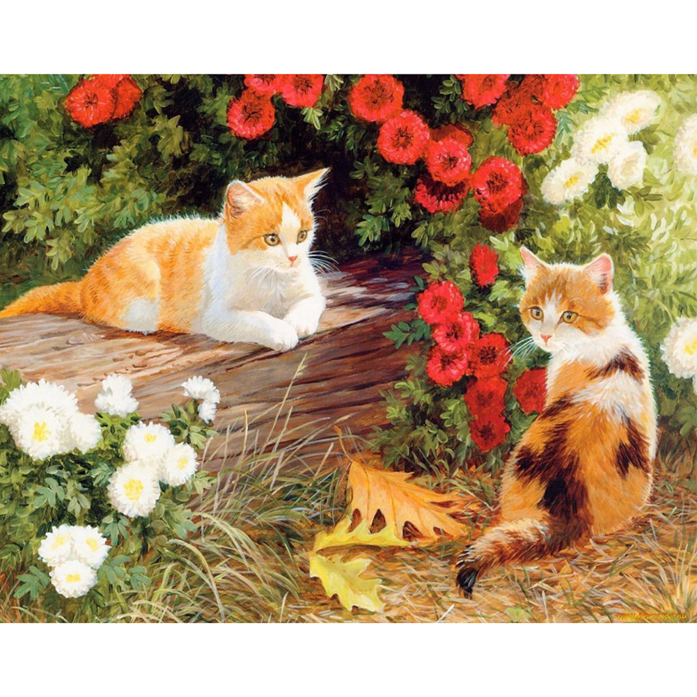 

40*50cm - Painting By Numbers - Flower Cats, 501 Original