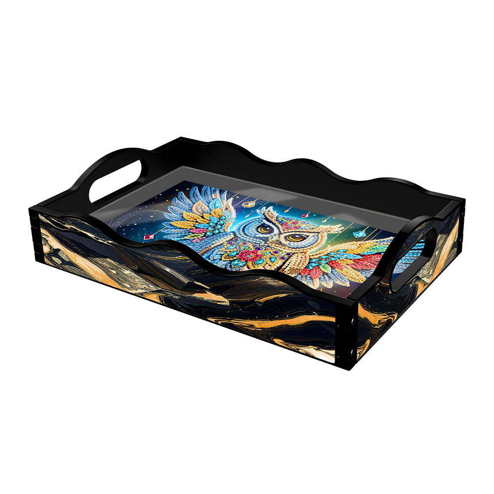 Acrylic Owl 5D Diamond Painting Serving Tray Art Craft for Home Decoration
