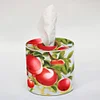 Apfel - 5d DIY Basteltaschentuch Box