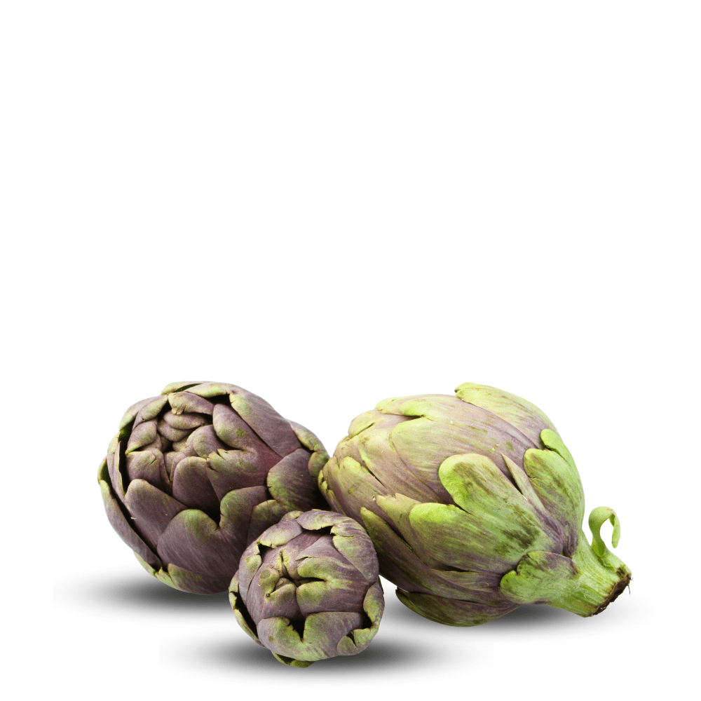 Heirloom Artichoke Organic Seeds - Romagna Violet