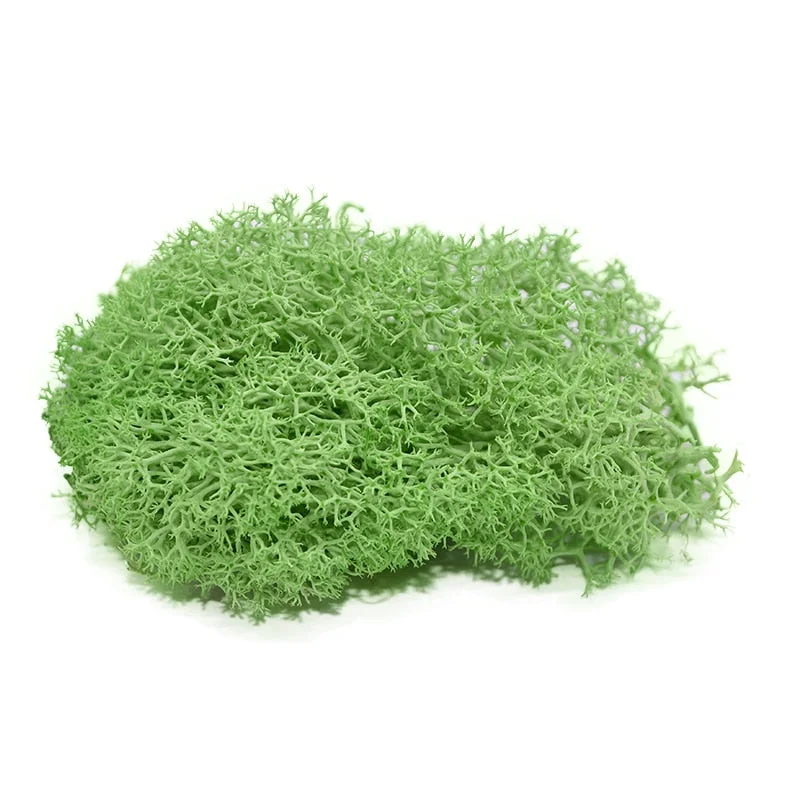 20g Artificial Plant Eternal Life Moss Garden Home Decoration Wall DIY Flower Material Mini Garden Micro Landscape Accessories