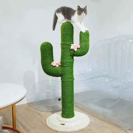 Cute Cactus Cat Climbing Frame