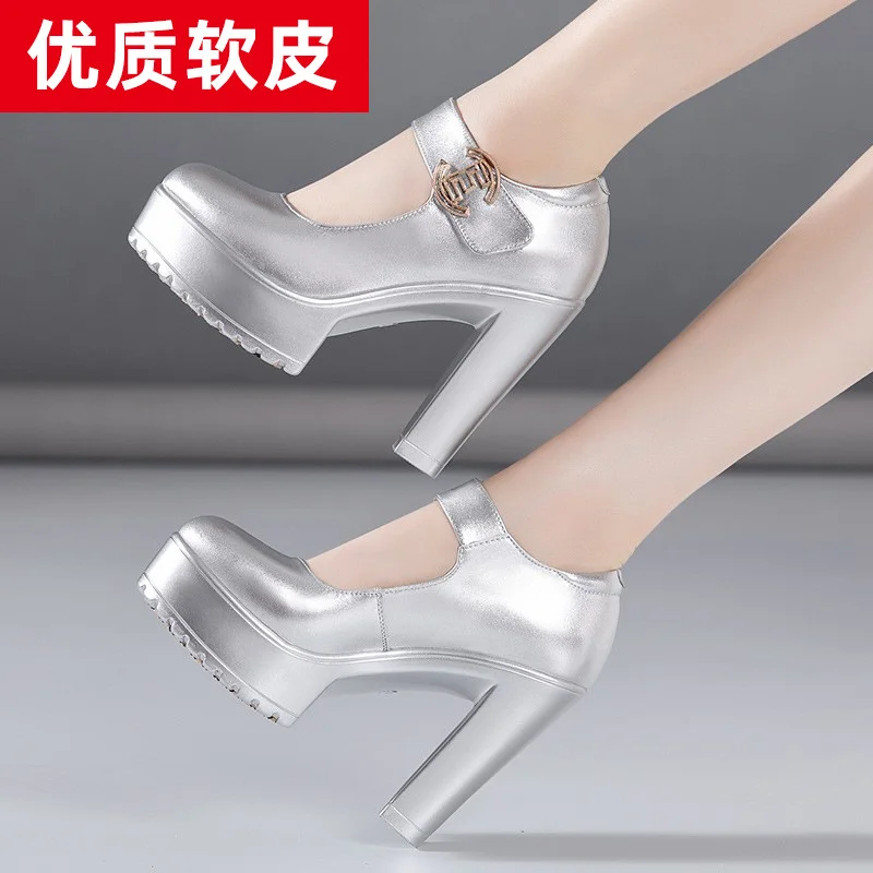 Breakj High Heel 12Cm Cheongsam Model Catwalk Shoes Women's Thick Soles Waterproof Platform Silver Round Head Stage Performance Shoes Women's Singles Shoes
