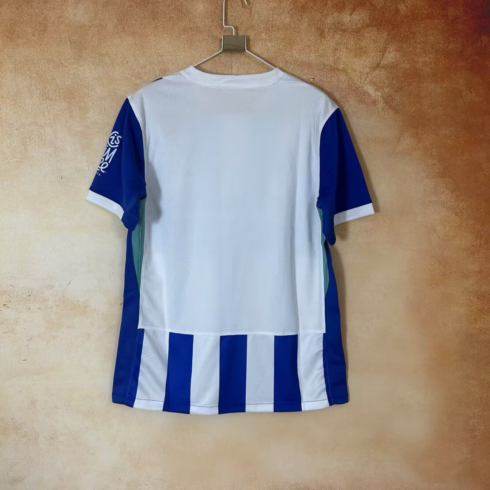 25/26 Brighton Home Football Shirt Thai Quality