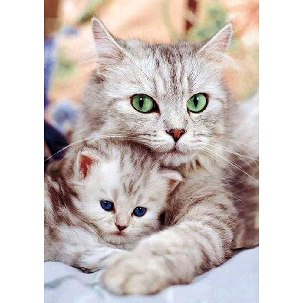Full Round Diamond Painting - Hugging Cat(30*40cm)