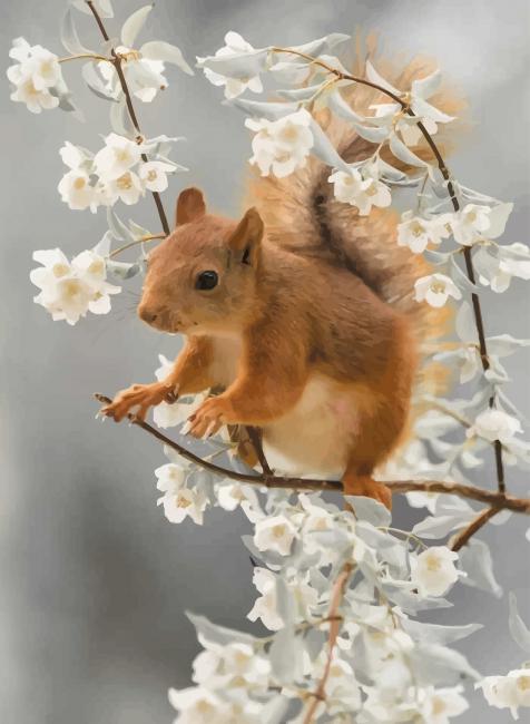 

Red Squirrel – Paint By Numbers - 40*50CM, 501 Original