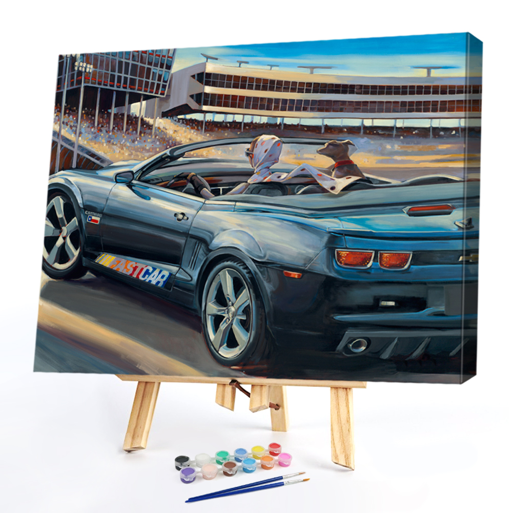 

50*40CM - Paint By Numbers - Girl Driving, 501 Original
