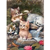 (5 Sizes) Cats-Full Square Diamond Painting