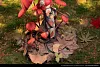 1/1 Scale Mushroom Girls Series Marasmius Haematocephalus - Original Design Official Resin Statue - Reverse Studios