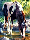 Horse | Full Round/square Diamond Painting Kits | 50x70cm