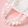 Natural White Shell Beads DIY Jewelry Accessories