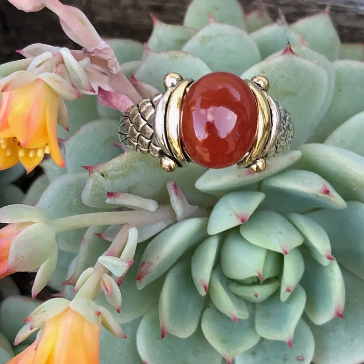 Red Carnelian Ring in Sterling Silver with Gold Accents Size 9