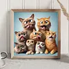 Funny Cat-Full Round Diamond Painting 30*30CM