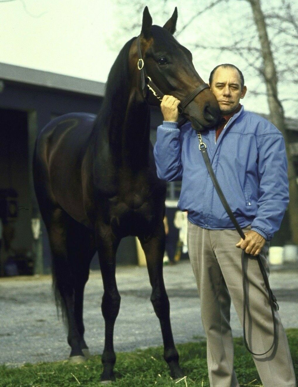 1973 Frank Pancho Martin SHAM Kentucky Derby Horse Racing 8x10 Photo Poster painting Pincay Jr