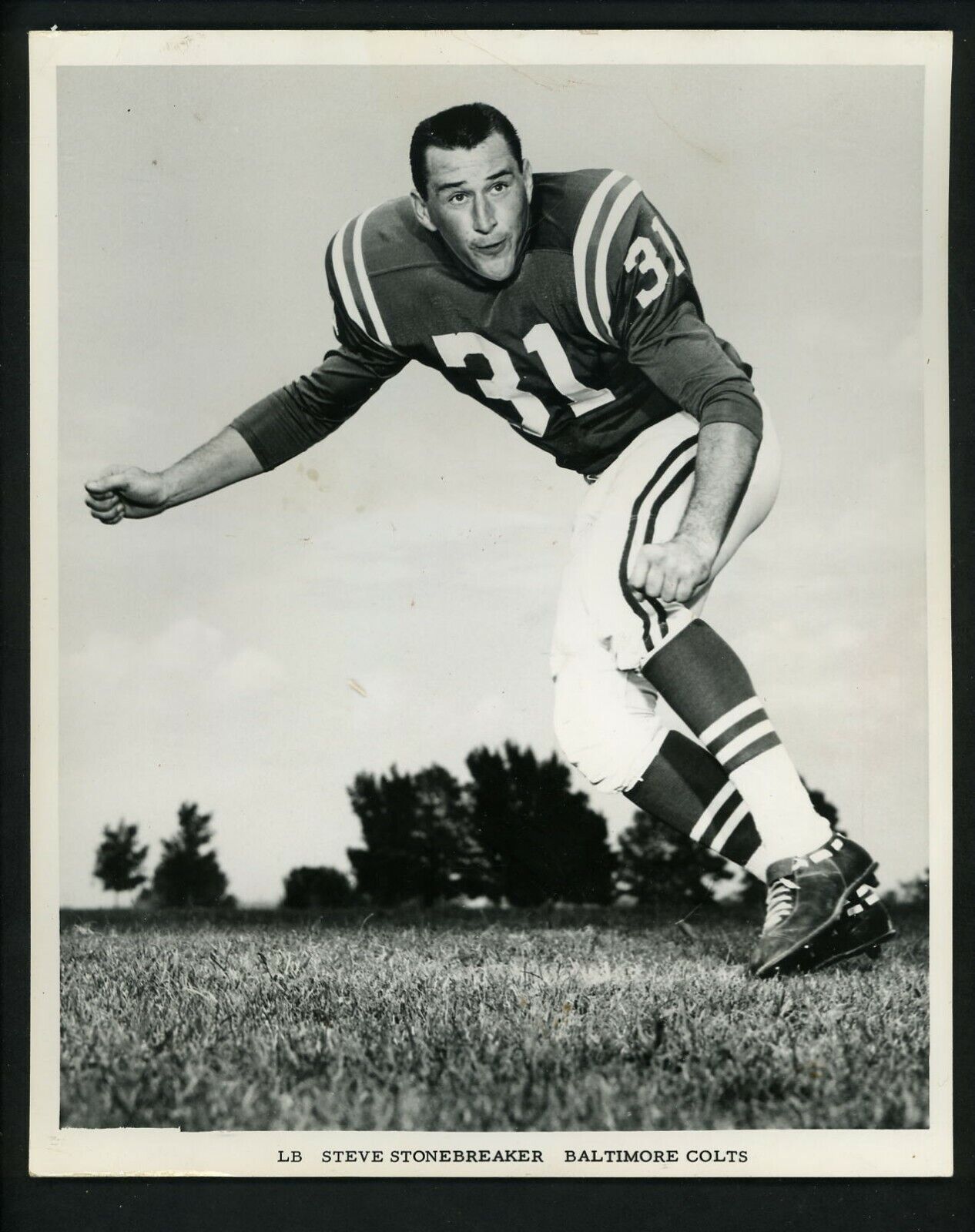 Steve Stonebreaker Baltimore Colts Team Issued 1964 Press Photo Poster painting