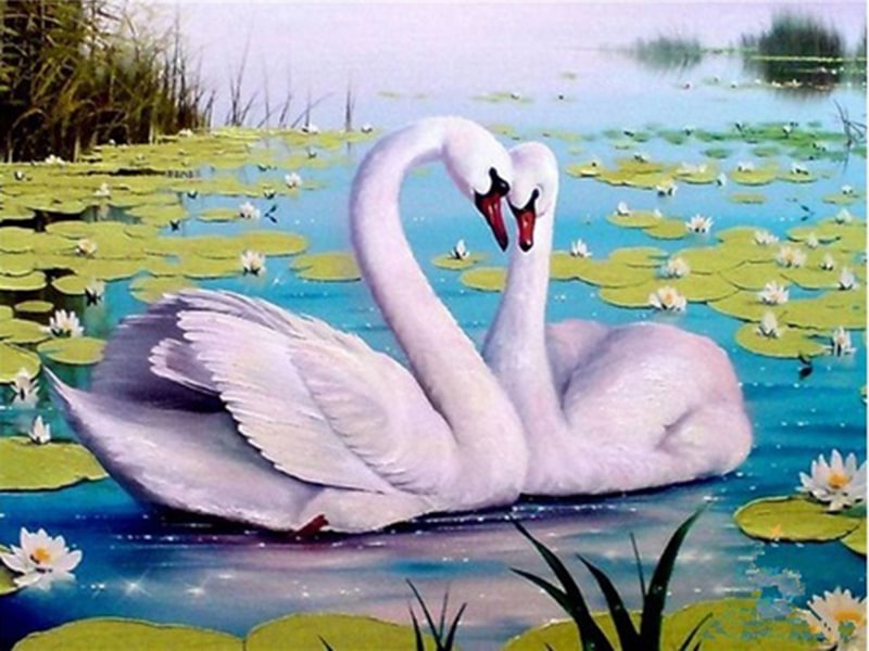 Diamond Painting - Full Round/Square Drill - Swan(30*40 - 50*60cm)