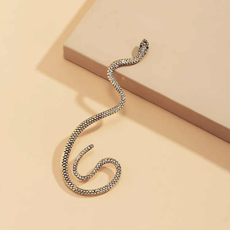 Rhinestone Snake Vintage Irregular Alloy Earrings