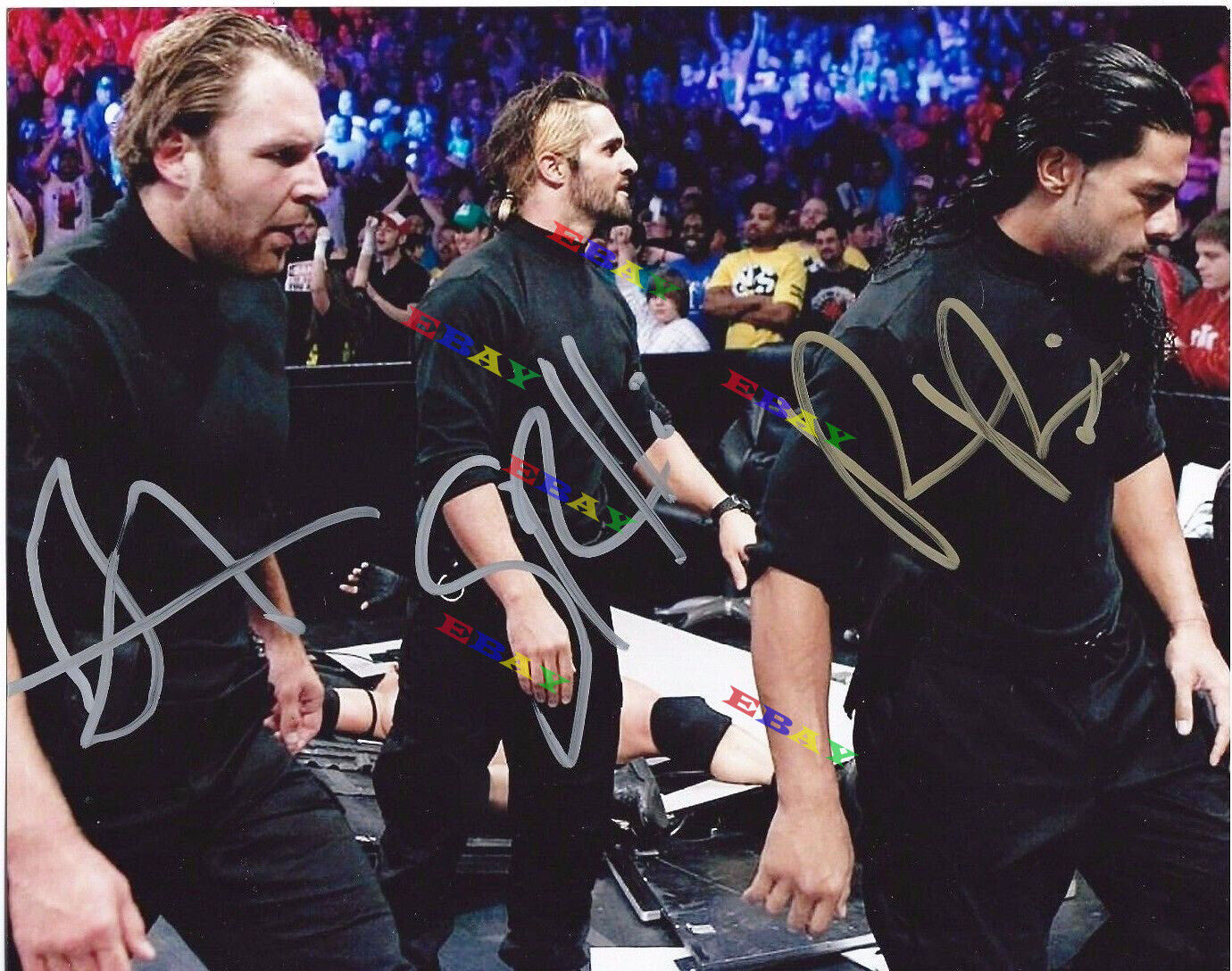 Seth Rollins Dean Ambrose Roman Reigns The Shield Signed 8x10 Photo Poster painting Reprint