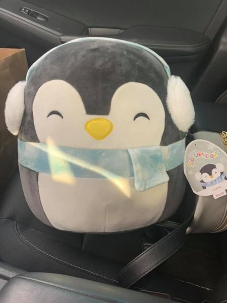 luna penguin squishmallow