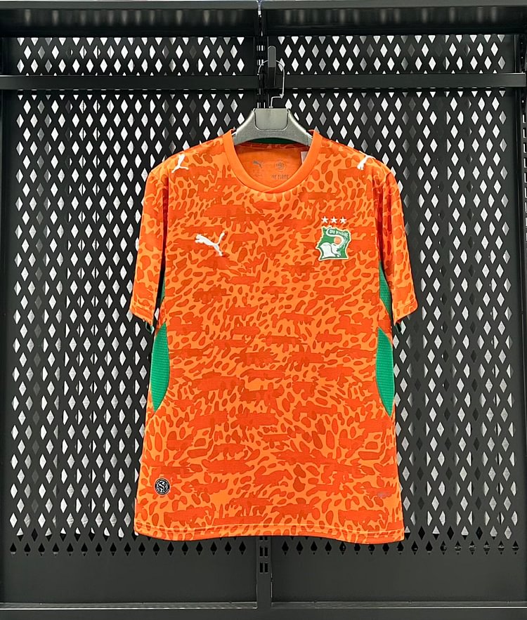 2026-27 Ivory Coast Home Jersey - Fan Edition