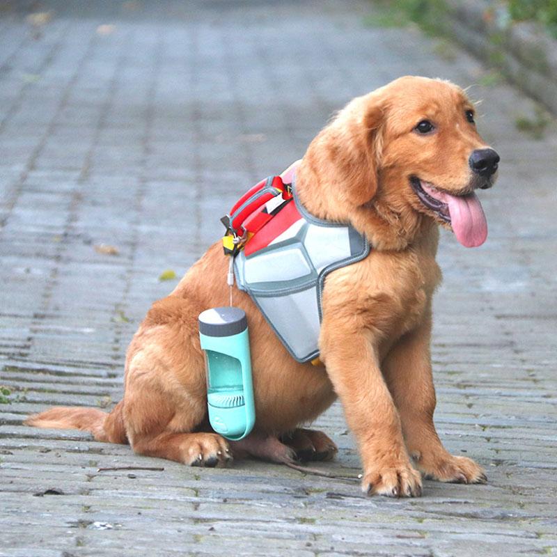 Outdoor Portable Kettle for Pet | 168DEAL