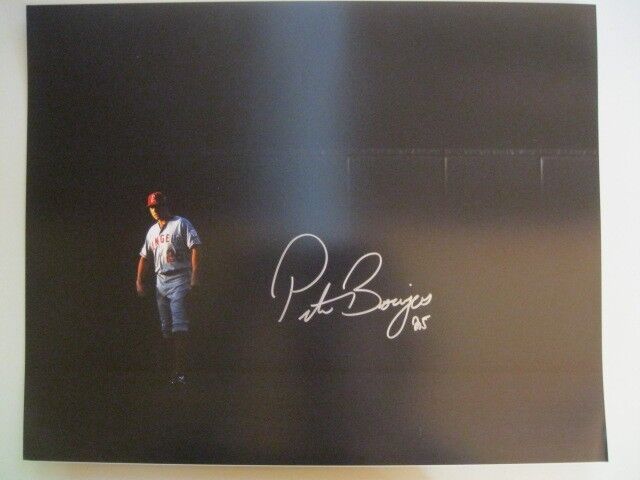 PETER BOURJOS Signed 16x20 Matte Photo Poster painting Los Angeles ANGELS Auto Autograph